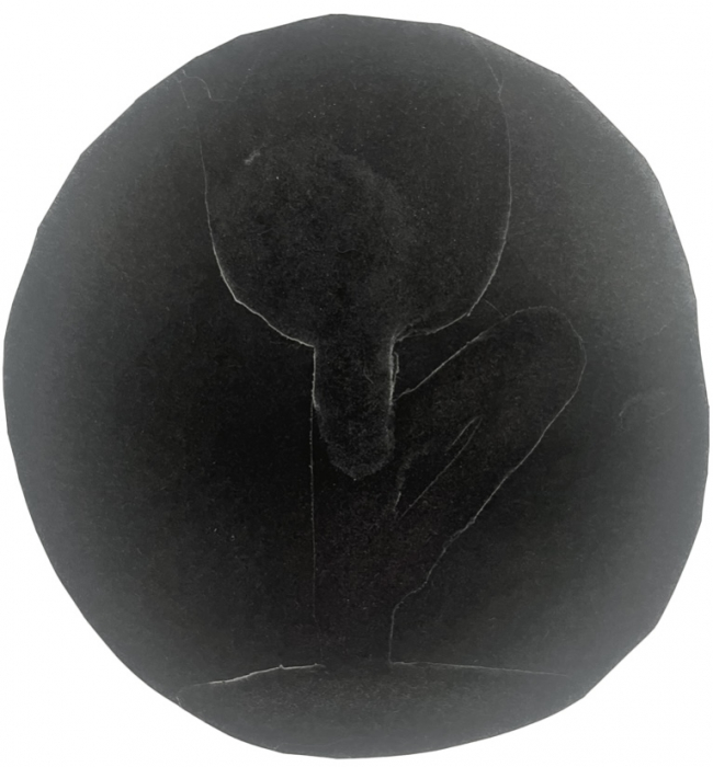 ASCII���Screenshot