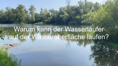 ASCII���Screenshot