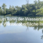 wasserlaeufer_deckblatt.jpg